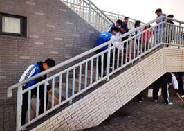 IMG_256 IMG_256